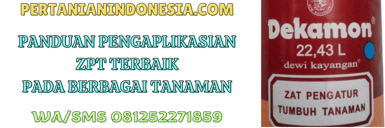 panduan,aplikasi,dosis,pemakaian,pertanian indonesia